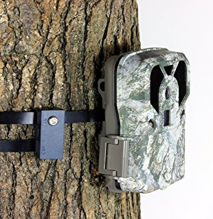 Trail Camera